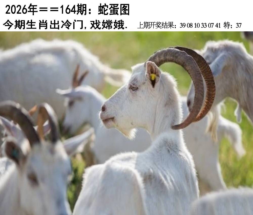 164期另版蛇蛋图[图]